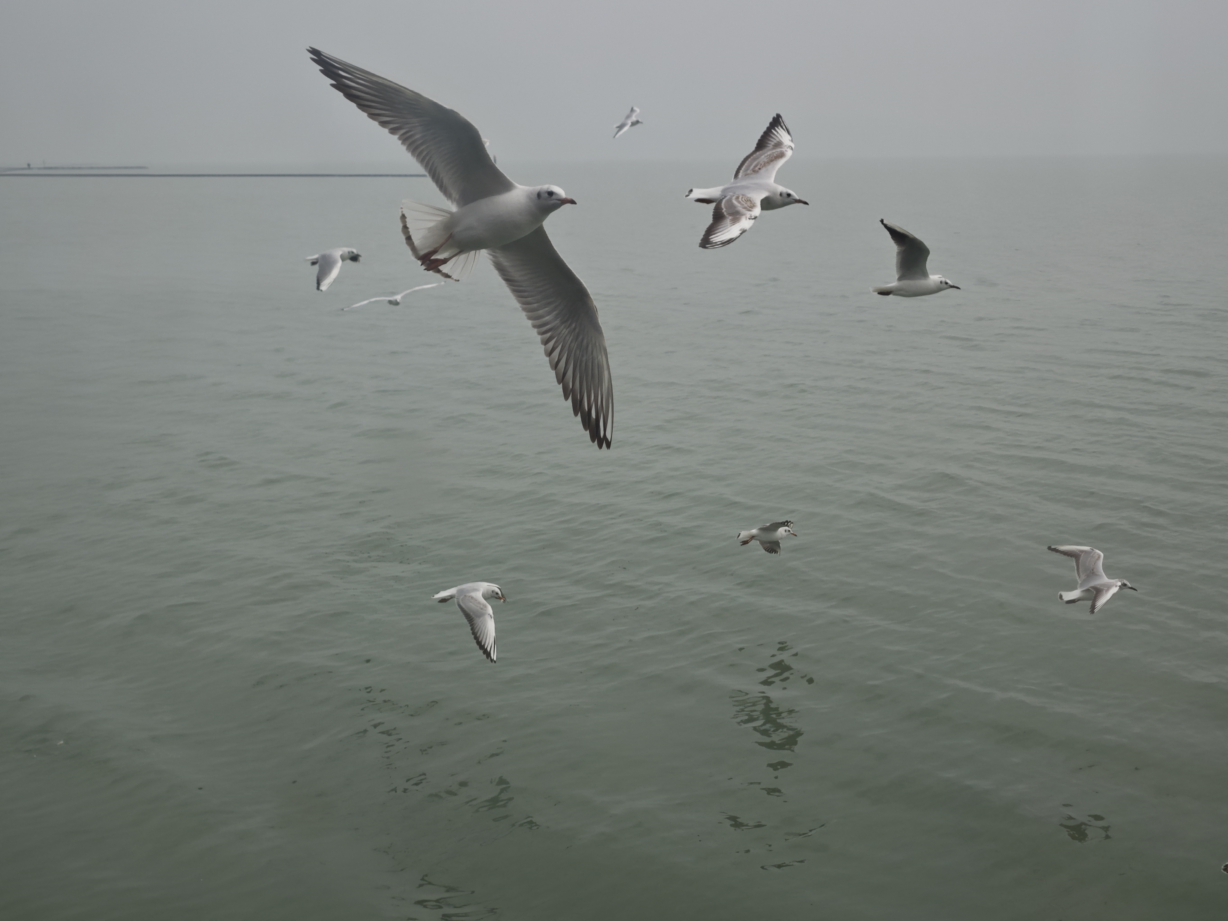 一座生活的岛屿，一种岛屿生活